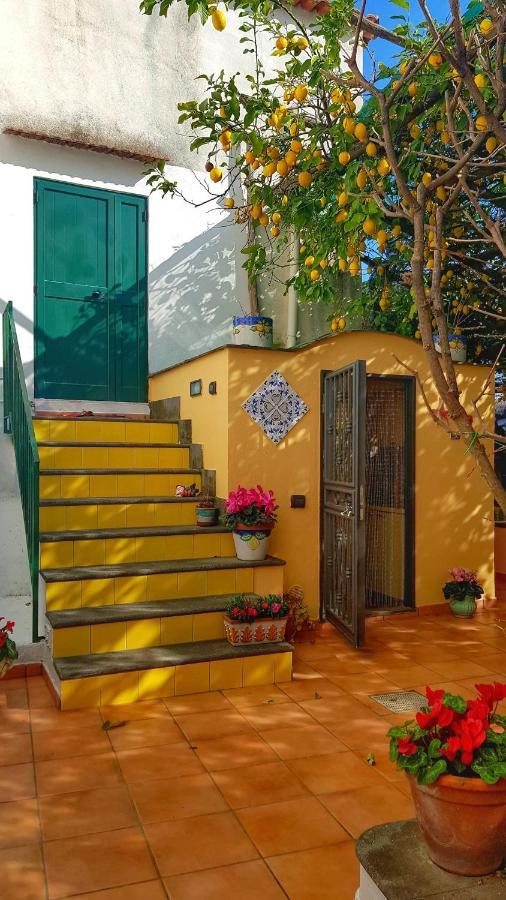 Il Limoneto Degli Angeli Minori Exterior foto